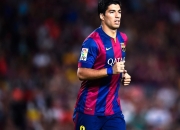 开云官网-F1街道赛之夜，福克斯表现堪称教科书