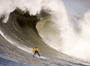 开云棋牌官网-绝唱与新生，当威廉姆斯以碾压之势碾过索伯，周冠宇用一次惊艳让世界重新定义唯一