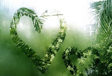 开云棋牌游戏-逆袭风暴！升班马惊天一踹踢碎曼城金身