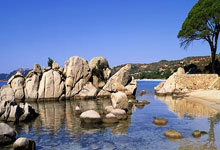 开云棋牌下载-龙吟亚洲之巅！国足决赛封神夜，姆巴佩竟成最强背景板